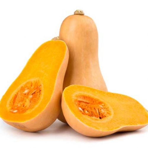 abobora butternut bio