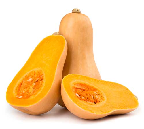 abobora butternut bio