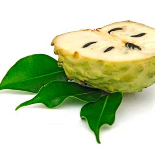 anona bio