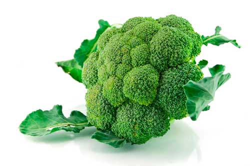 brócolos bio