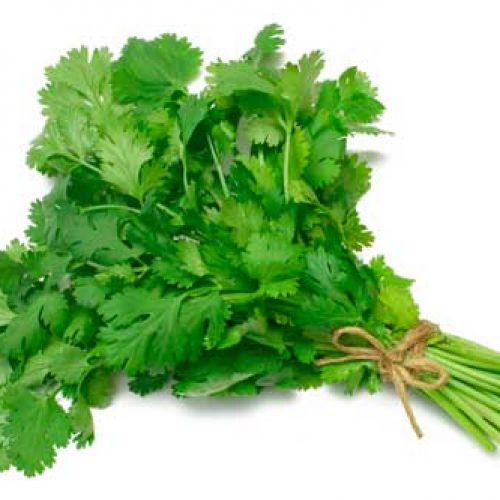 coentros bio