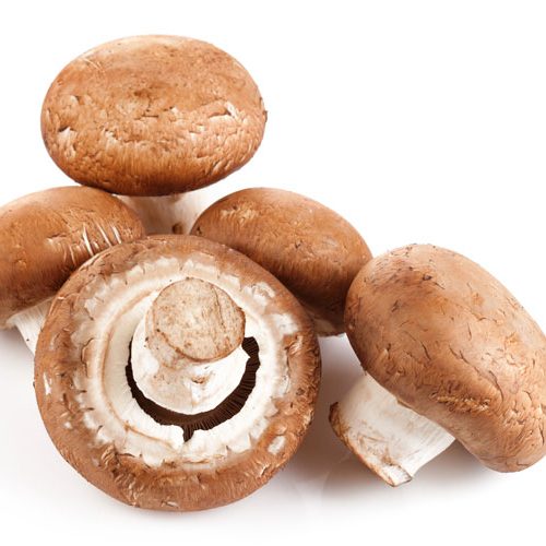 cogumelo marron bio