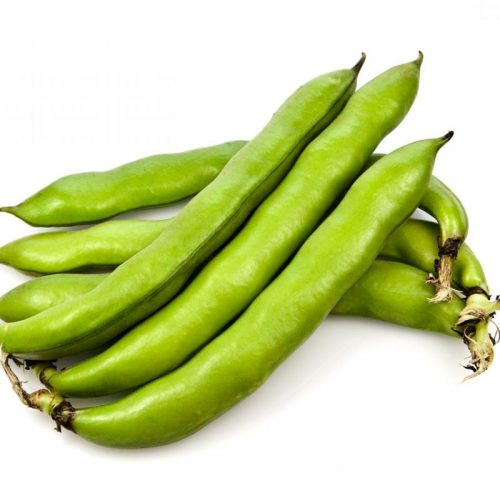 FAVA C/CASCA BIO