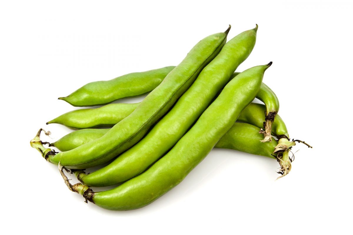 FAVA C/CASCA BIO