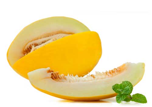 melao bio