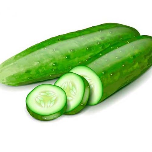 pepino bio