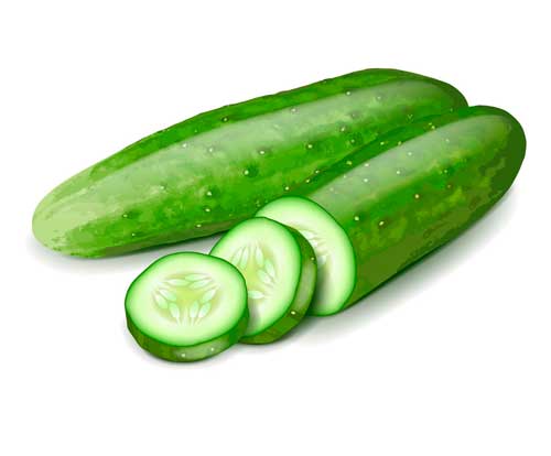 pepino bio