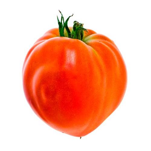 tomate coracao bio