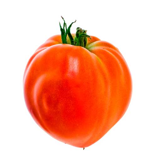 tomate coracao bio