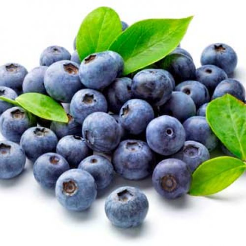 mirtilos bio