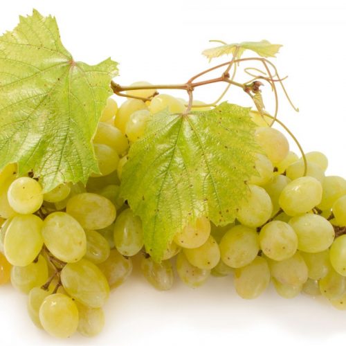 uva branca bio