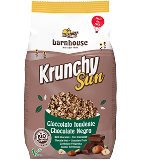 GRANOLA CHOCOLATE NEGRO BIO 375GRS PROVIDA