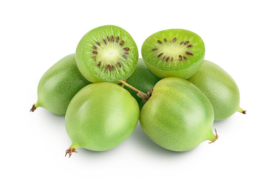 kiwi_baby_bio
