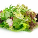 SALADA MIX BIO ( MISTURA DE ALFACE FOLHA DE CARVALHO VERDE E ROXA)