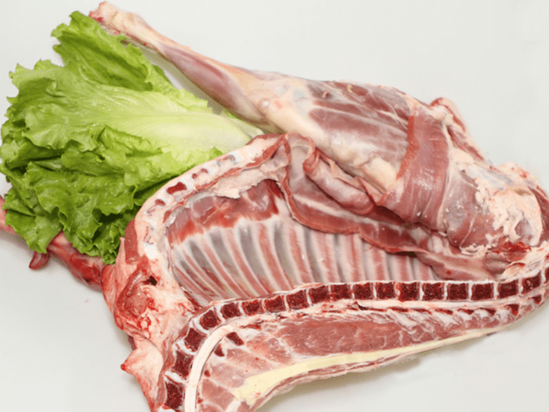 borrego-traseiro-bio-nacional