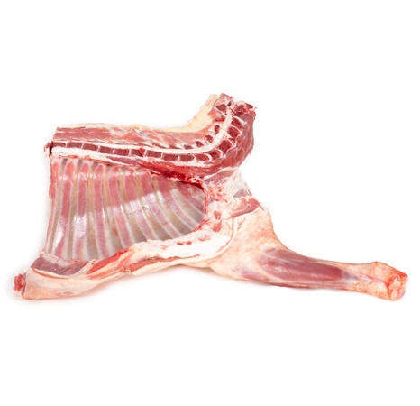 dianteiro-de-borrego-bio-nacional