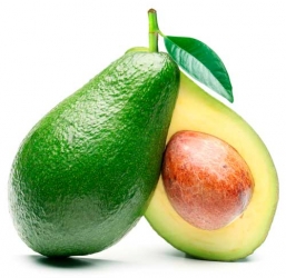 ABACATE BIO DO ALGARVE