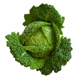 COUVE LOMBARDO BIO NACIONAL