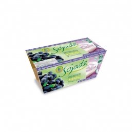 SOBREMESA SOJA MIRTILO BIO 2X100G SOJADE